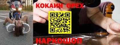 индика Заводоуковск