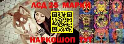 индика Заводоуковск