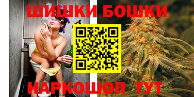 индика Заводоуковск