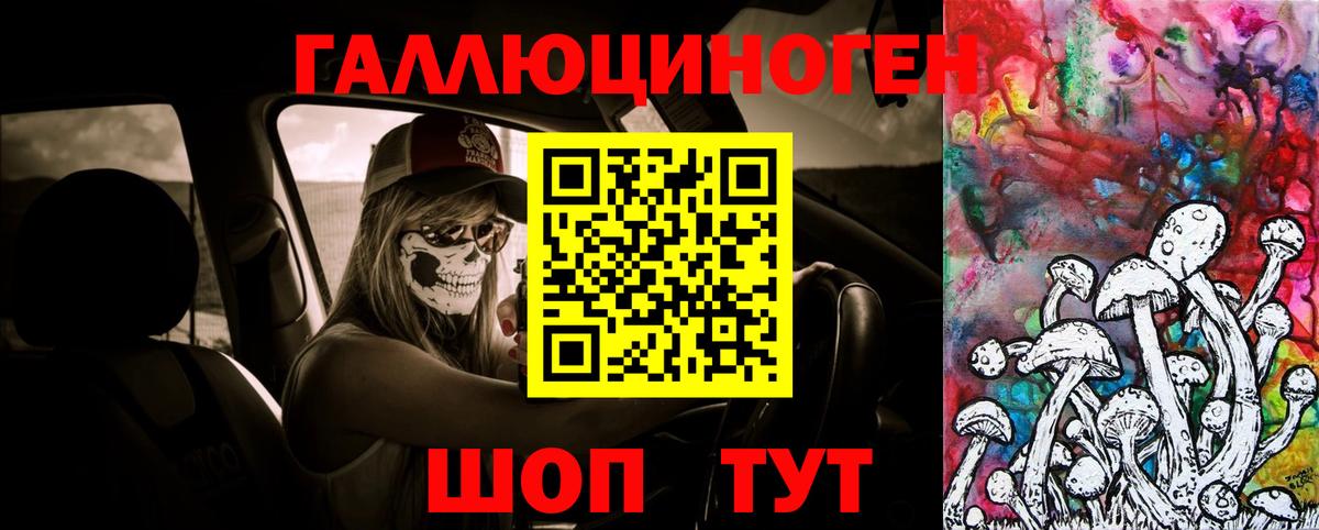 Ефремов  Галлюциногенные грибы прущие грибы  Вход с VPN 