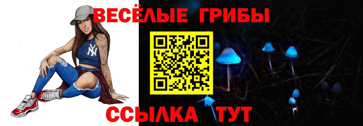 Галлюциногенные грибы Psilocybine cubensis  купить наркоту  Ефремов 